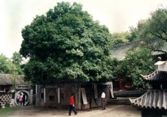 廣州到漢中物流專線，廣州到漢中貨運(yùn)公司