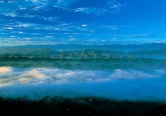 廣州到宜賓物流專線，專業(yè)運輸公司廣州至宜賓貨運