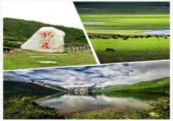 廣州到阿壩物流專線，專業(yè)運輸廣州至阿壩貨運公司