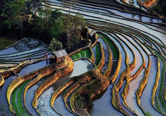 廣州到紅河物流專線，直達運輸公司廣州至紅河貨運