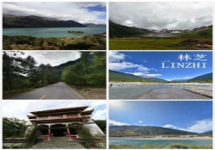 廣州到林芝物流專(zhuān)線(xiàn)，整車(chē)零擔(dān)配貨的廣州到林芝貨運(yùn)