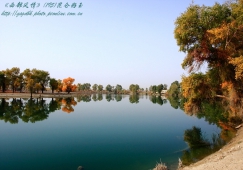 廣州到阿克蘇物流專線，廣州到新疆阿克蘇貨運(yùn)公司