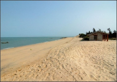 廣州到東方物流專線，廣州到東方貨運公司