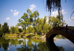 清遠(yuǎn)到承德物流專(zhuān)線|清遠(yuǎn)到承德物流公司|清遠(yuǎn)到承德貨運(yùn)專(zhuān)線